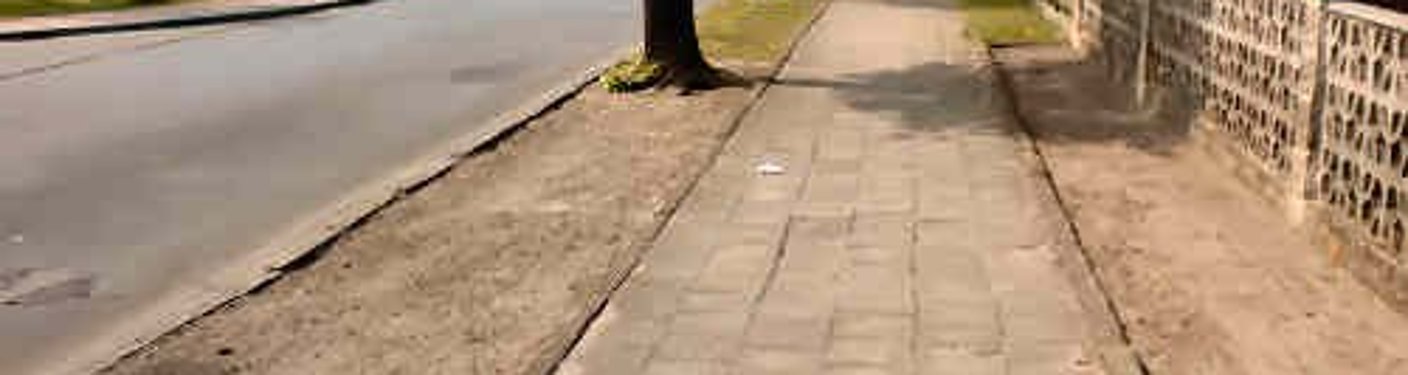 lindenstraße bäume bestand 2016