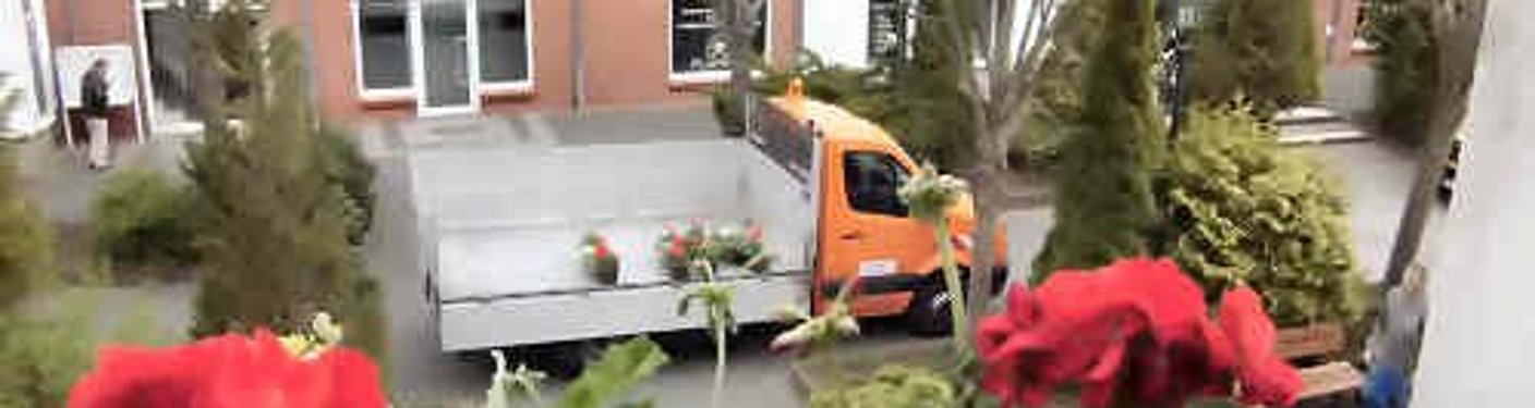 geranien rathaus 2016