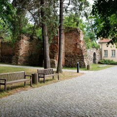 Burgruine Burgruine