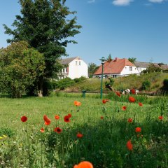 Ueckerinsel Ueckerinsel
