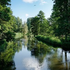 Flusslandschaft an der Uecker