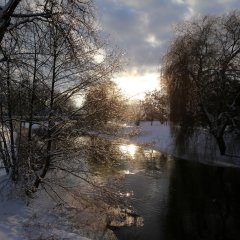 Winterlandschaft an der Uecker